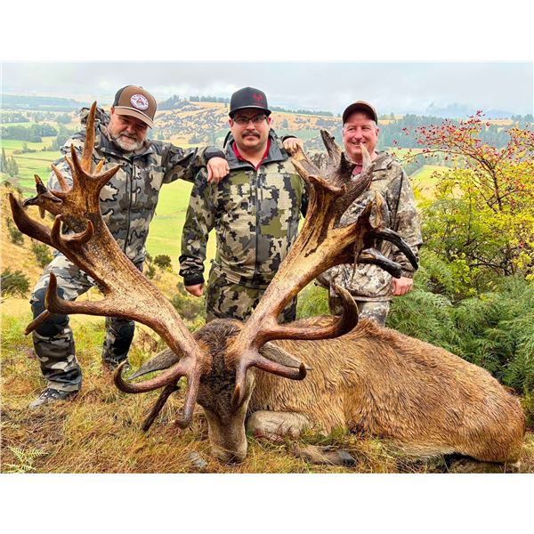 New Zealand Red Stag Hunt for Two