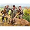 Image 1 : New Zealand Red Stag Hunt for Two