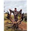 Image 4 : New Zealand Red Stag Hunt for Two
