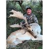 Image 9 : New Zealand Red Stag Hunt for Two