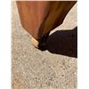 Image 12 : VINTAGE CEDAR CHEST