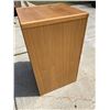 Image 7 : TWO-DRAWER WOOD FILE CABINET