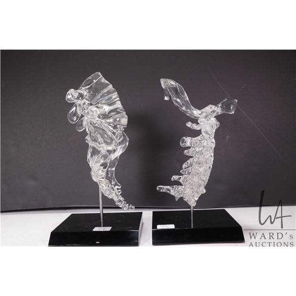 Pair of clear acrylic bookends including lumbar with sacrum and a cervical spine, purportedly show p