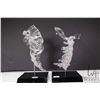 Image 1 : Pair of clear acrylic bookends including lumbar with sacrum and a cervical spine, purportedly show p