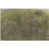 Image 6 : Appa Geeta, artist signed, hand carved green serpentine walrus figure, 8" in length