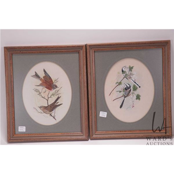 Wendy McLean, two framed original watercolour paintings of small song birds including sparrows and l