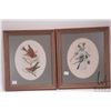 Image 1 : Wendy McLean, two framed original watercolour paintings of small song birds including sparrows and l