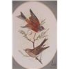 Image 2 : Wendy McLean, two framed original watercolour paintings of small song birds including sparrows and l