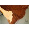 Image 2 : Hereford cow hide, 77" X 71"