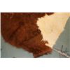 Image 3 : Hereford cow hide, 77" X 71"