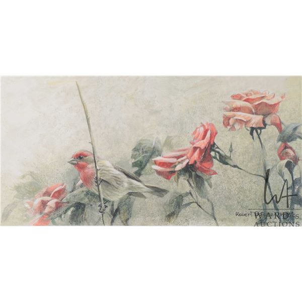 Robert Bateman, framed limited edition print titled "House Finch and Roses", pencil signed by artist