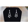 Image 1 : 14kt white gold earring set with 0.05cts of genuine diamonds