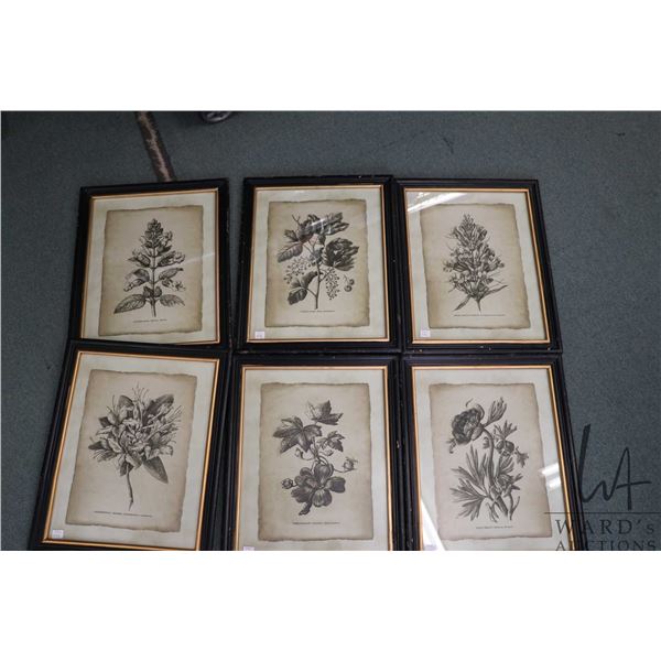 Six framed botanical prints, overall dimensions including frames 20" X 16"