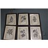 Image 1 : Six framed botanical prints, overall dimensions including frames 20" X 16"