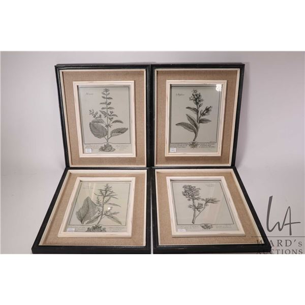 Four decor botanical prints of 18th century copperplate engravings, each measures 18" X 14" framed