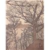 Image 1 : Sue Marin, framed block print titled "Pallisades View" pencil signed by artist and numbered 139/300,