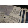 Image 4 : Twenty one assorted prints including some limited edition and one framed, artist W.M. Bonnet Plume, 
