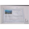Image 5 : Max Jacquiard, limited edition framed print titled " Near Tete Jaune", 26/60, overall dimensions inc