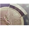 Image 5 : MEXICO LIBERTAD SILVER COIN - 2024 - BRILLIANT UNCIRCULATED