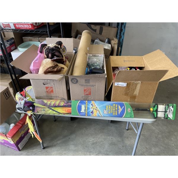 3 BOXES OF KIDS TOYS, SPORTS GEAR, KITE, ETC