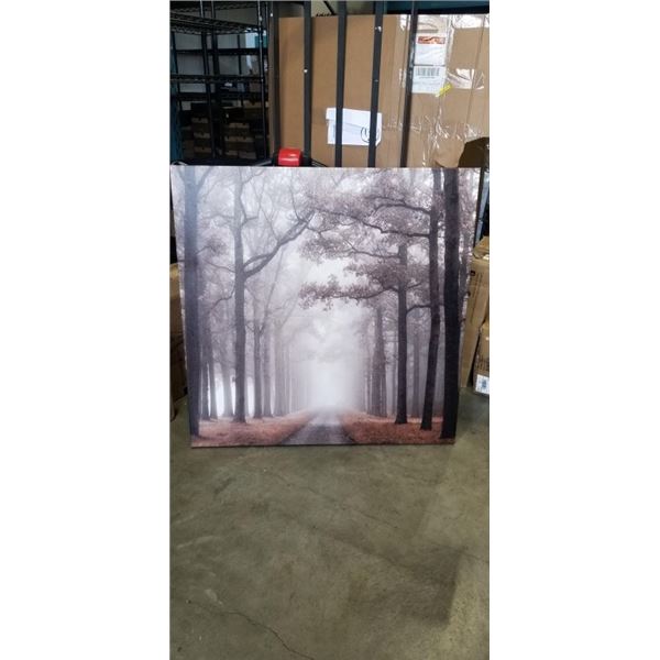 48"X48" CANVAS PRINT FOREST SCENE