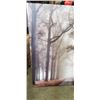 Image 2 : 48"X48" CANVAS PRINT FOREST SCENE