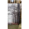 Image 3 : 48"X48" CANVAS PRINT FOREST SCENE