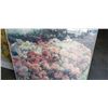 Image 3 : 2 FLORAL PAINTINGS ONE IS SIGNED