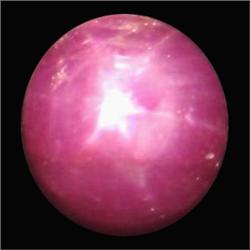 7.19ct Oval Cabochon Red Star Ruby  (GEM-21399)