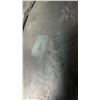 Image 2 : (2) ROGUE 2" OLYMPIC 45LB WEIGHT PLATES