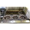 Image 2 : FORNO COMMERCIAL 6-BURNER GAS RANGE