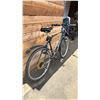Image 3 : RALEIGH INFINITY 18-SPEED BICYCLE