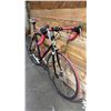 Image 2 : PRO-TEK SINGLE-SPEED BICYCLE