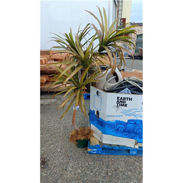 FAUX POTTED PLANT