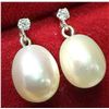 Image 1 : 10K(1.08G), F.W.PEARL & LAB DIAMOND (0.05CT) EARRING, SUGGESTED RETAIL VALUE $400