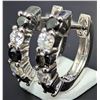 Image 1 : 10K(2.06G), NATURAL DIAMOND (0.35CT)EARRING, APPRAISED INSURANCE VALUE $1900