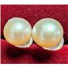 Image 1 : 14K F.W.PEARL EARRING, SUGGESTED RETAIL VALUE $300