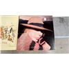 Image 10 : ASSORTED VINYL RECORDS INCLUDING; AC/DC, LED ZEPPLIN, COLIN JAMES & MORE