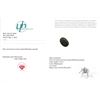 Image 3 : 6.5 CT CERTIFIED BRAZILIAN EMERALD GEMSTONE ($5,950 APPRAISAL)