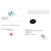 Image 3 : 4.55 CT CERTIFIED BRAZILIAN EMERALD GEMSTONE ($4,150 APPRAISAL)