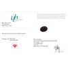 Image 3 : 5.15 CT CERTIFIED BRAZILIAN EMERALD GEMSTONE ($4,700 APPRAISAL)
