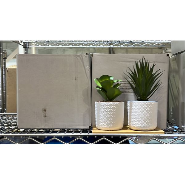 (4) SETS OF 2 IMPRESSA ARTIFICIAL SUCCULENT PLANTS WITH BAMBOO TRAYS