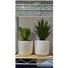 Image 2 : (4) SETS OF 2 IMPRESSA ARTIFICIAL SUCCULENT PLANTS WITH BAMBOO TRAYS