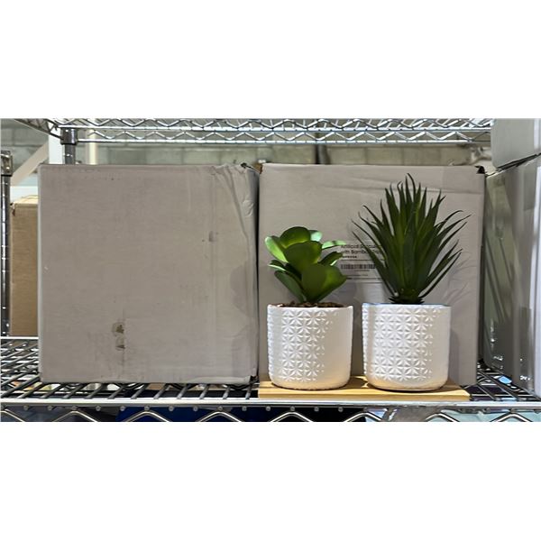 (5) SETS OF 2 IMPRESSA ARTIFICIAL SUCCULENT PLANTS WITH BAMBOO TRAYS