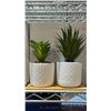 Image 2 : (5) SETS OF 2 IMPRESSA ARTIFICIAL SUCCULENT PLANTS WITH BAMBOO TRAYS