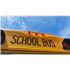 Image 21 : 2004 BLUE BIRD, 24 PASS SCHOOL BUS, YELLOW, VIN 1BABNBXA74F214016,