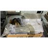 Image 4 : BOSCH ROTARY HAMMER DRILL IN CASE, TOTE OF RATCHET STRAPS & MORE