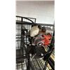 Image 2 : REAL GAS POWERED BRUSH CUTTER