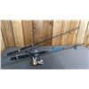 Image 1 : 2 SPINNING RODS WITH SPINNING REELS