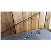 Image 3 : 2 SPINNING RODS WITH SPINNING REELS
